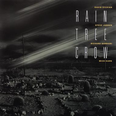 Rain Tree Crow -  Rain Tree Crow